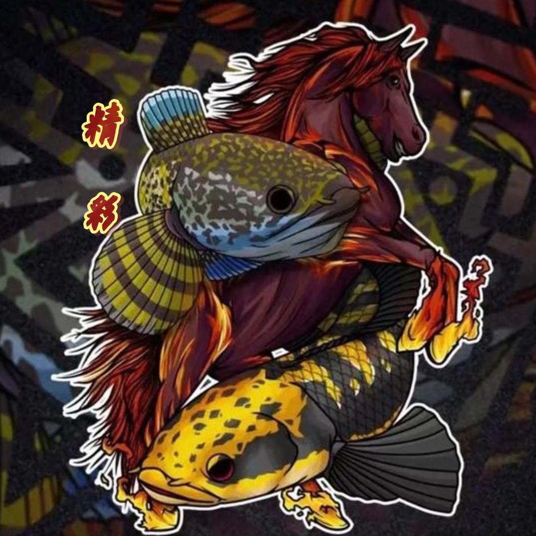 精彩雷龙（不卖鱼）