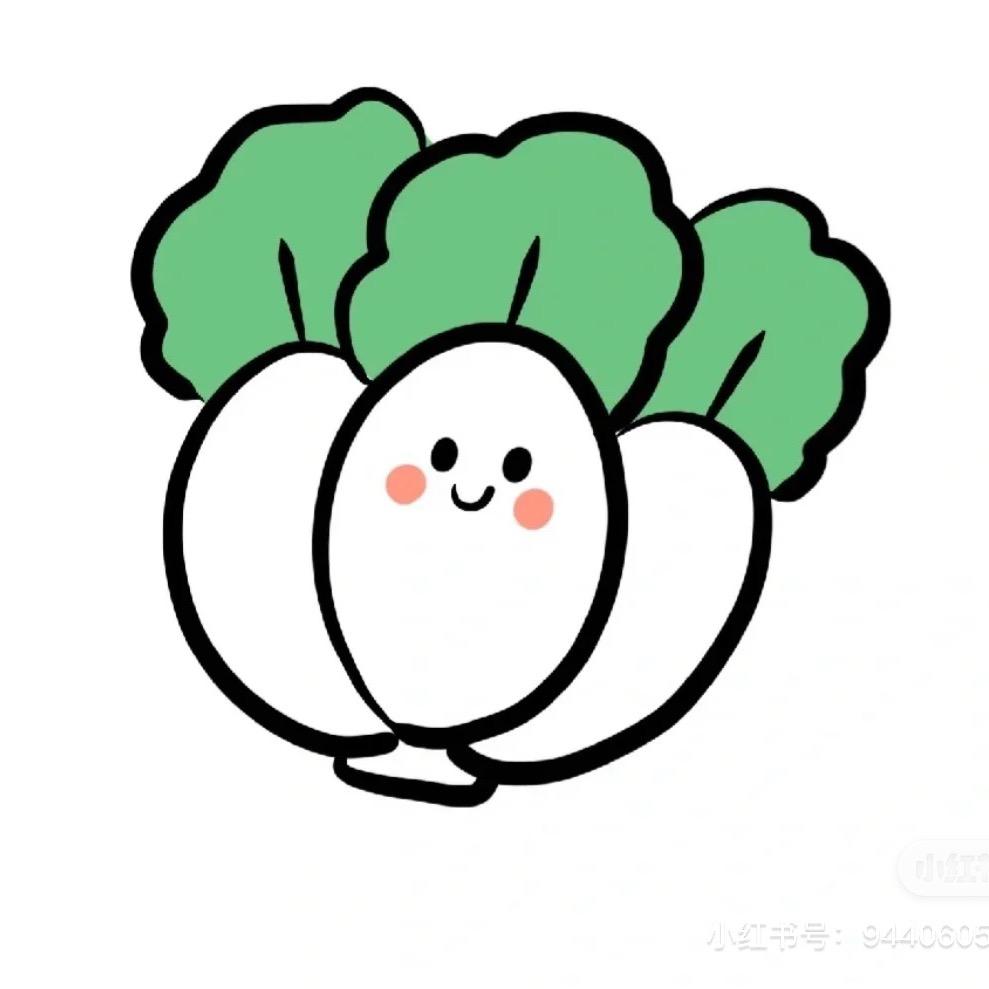 小白菜