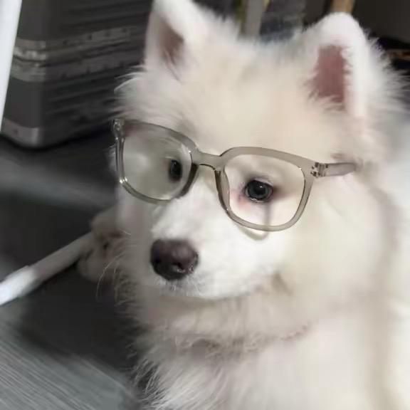 不想上班6