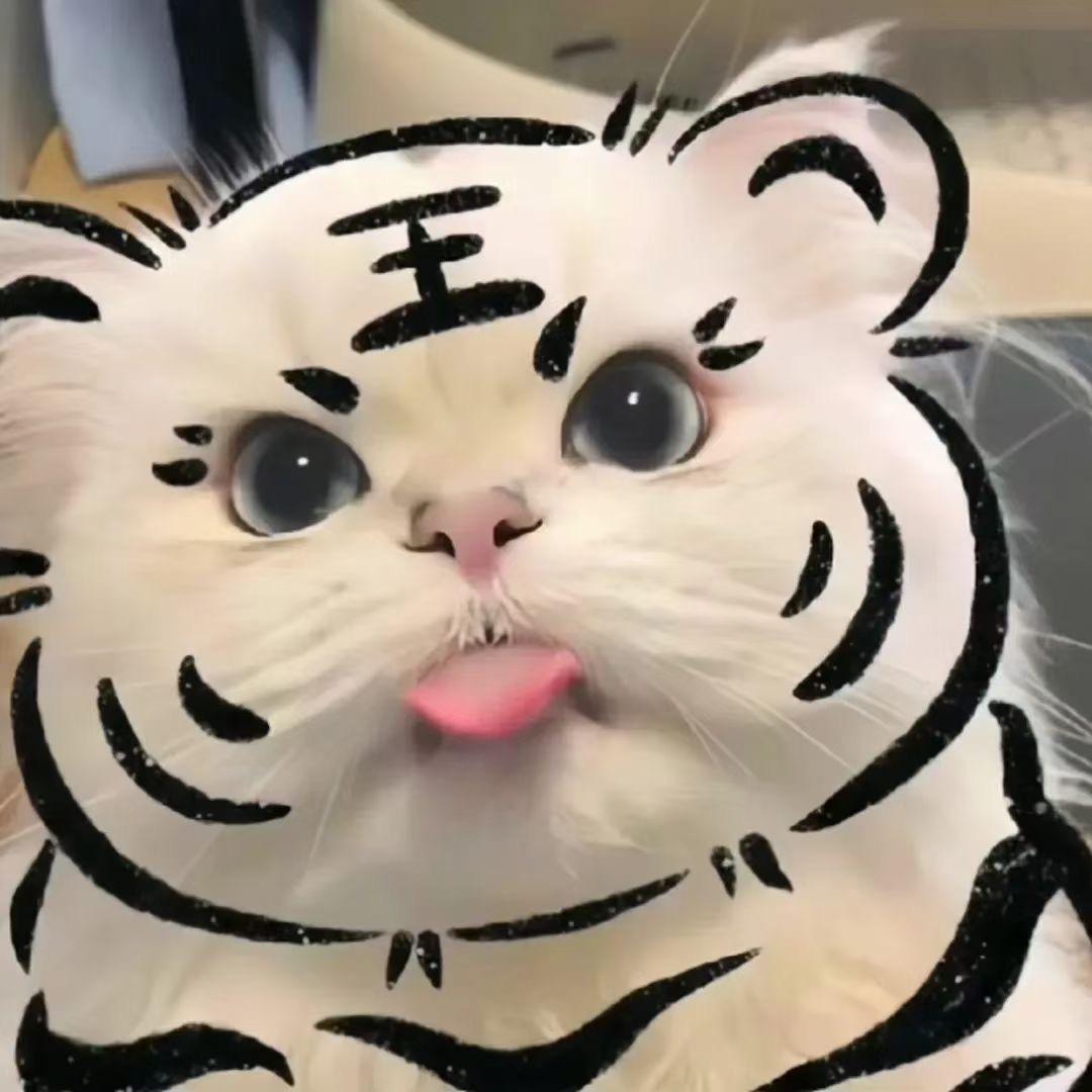 爱玩的哩