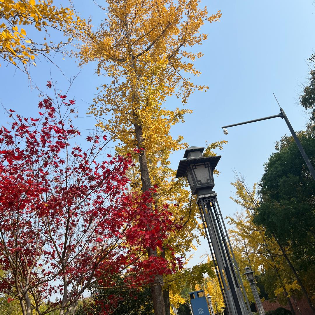 戴眼镜的小姐姐