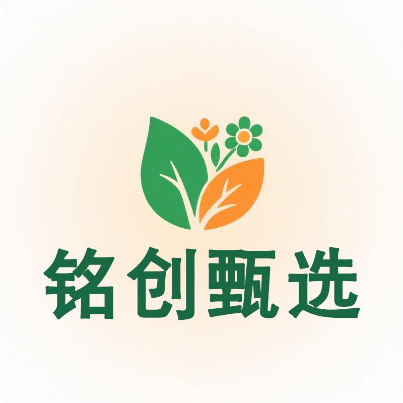 铭创甄选店