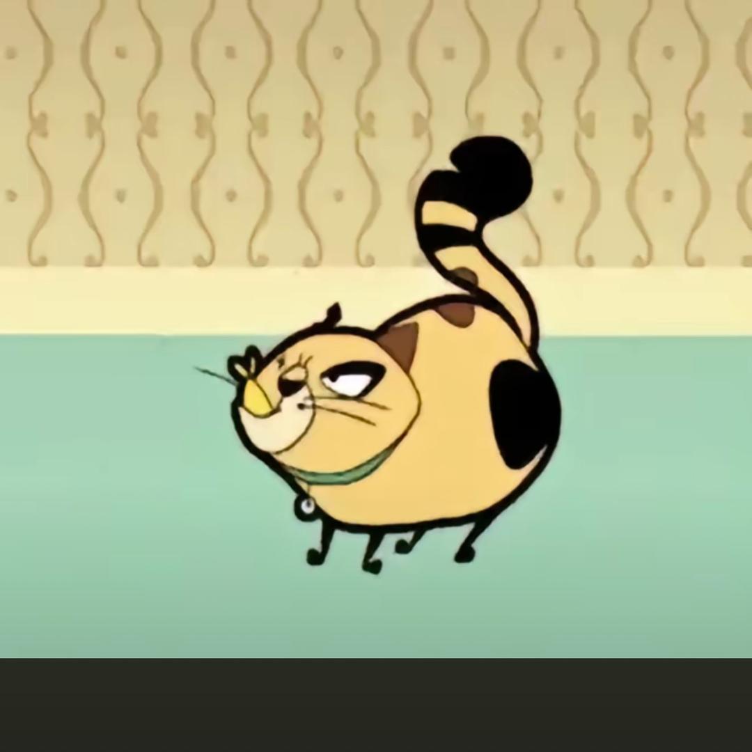 。。。。。。。....