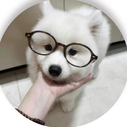 乖乖🫧（见过王俊凯版）
