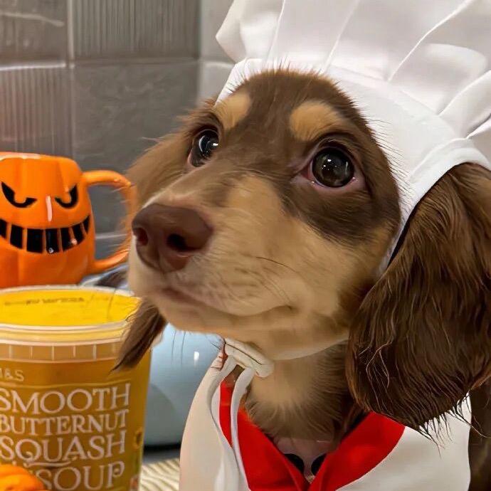 ʕ•̫͡:u点想静静