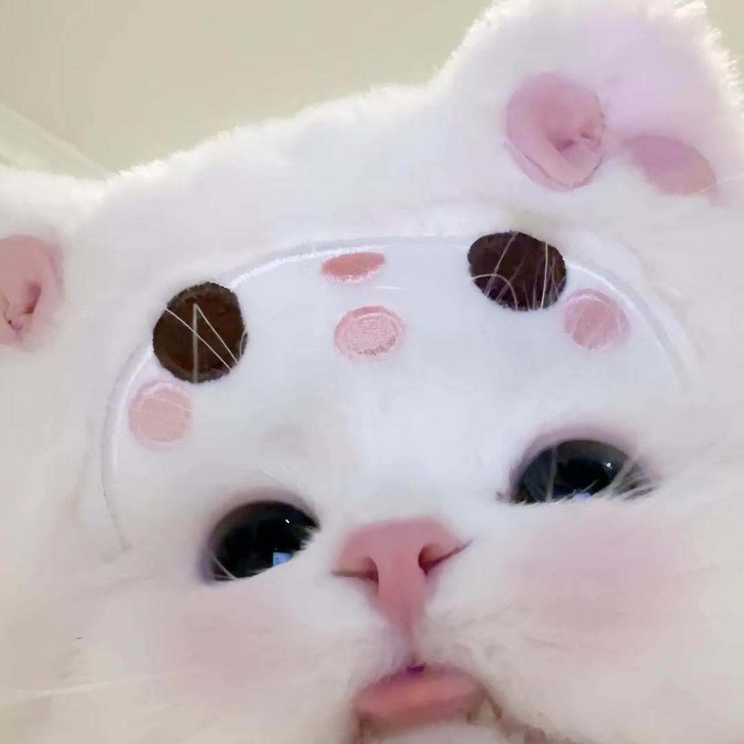吐司