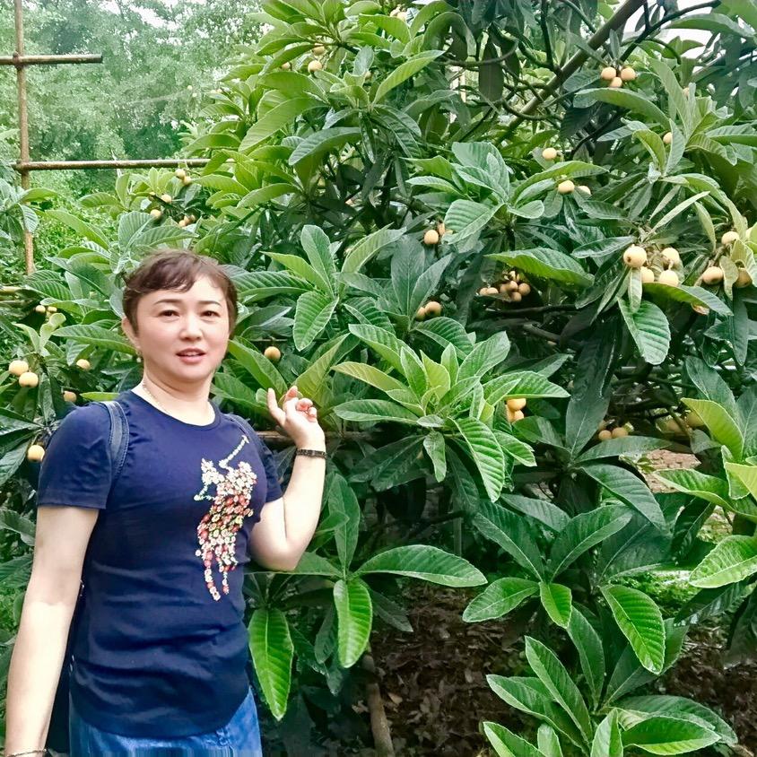 美人凤妈