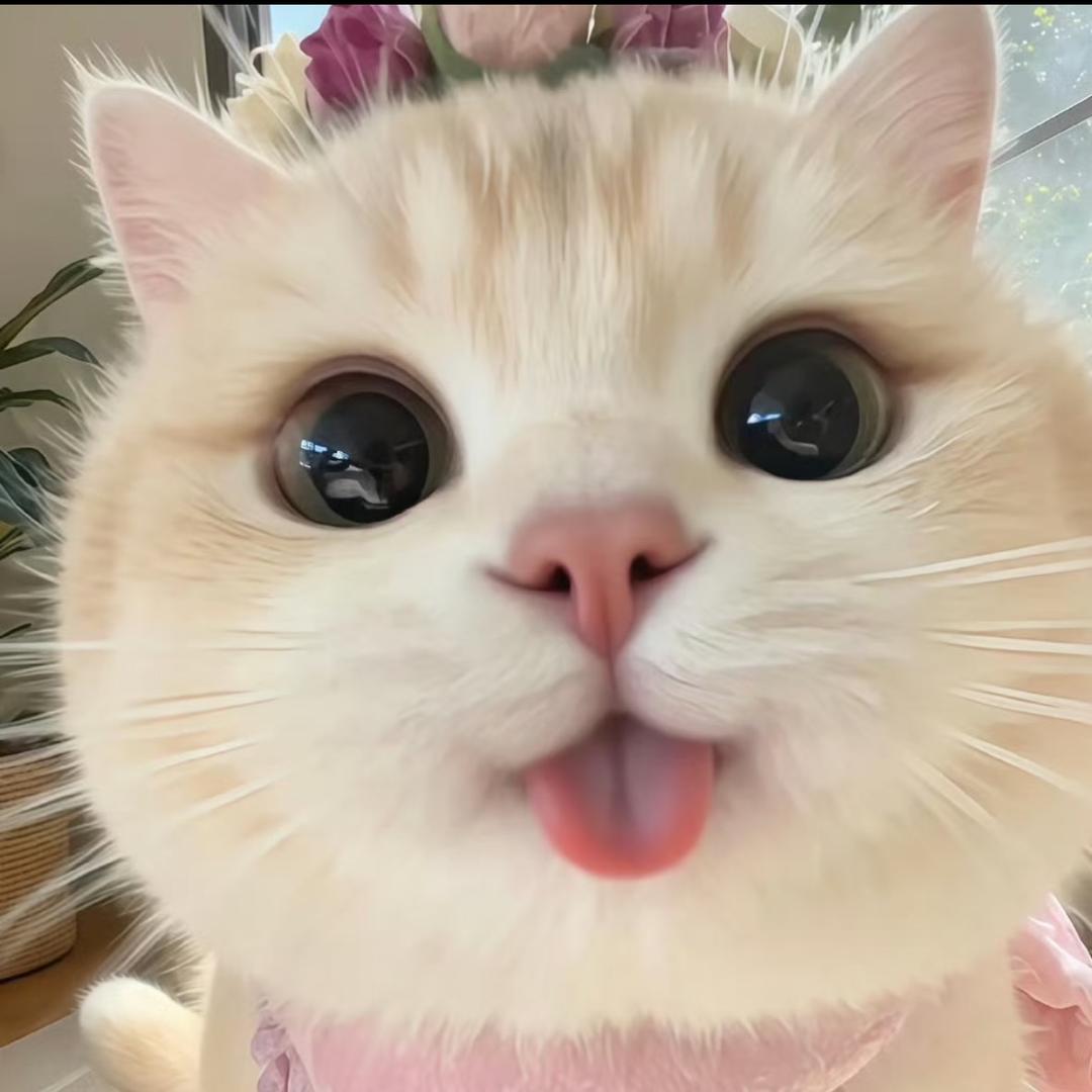 俏俏广州吃喝玩乐