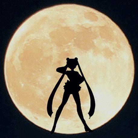美少女壮士