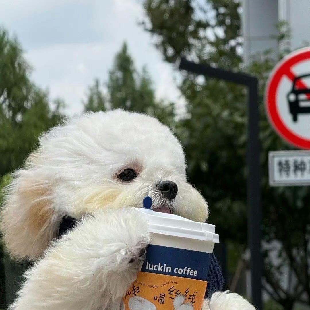 花花日用百货