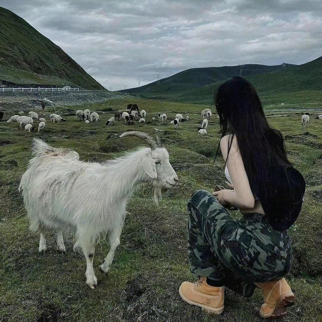 央央央金❤️
