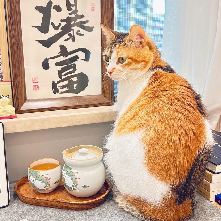 屁屁小可耐