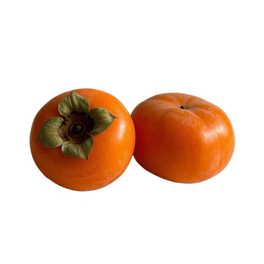 𝙔𝙞𝙜𝙚𝙡𝙖𝙣𝙕𝙞𝙞