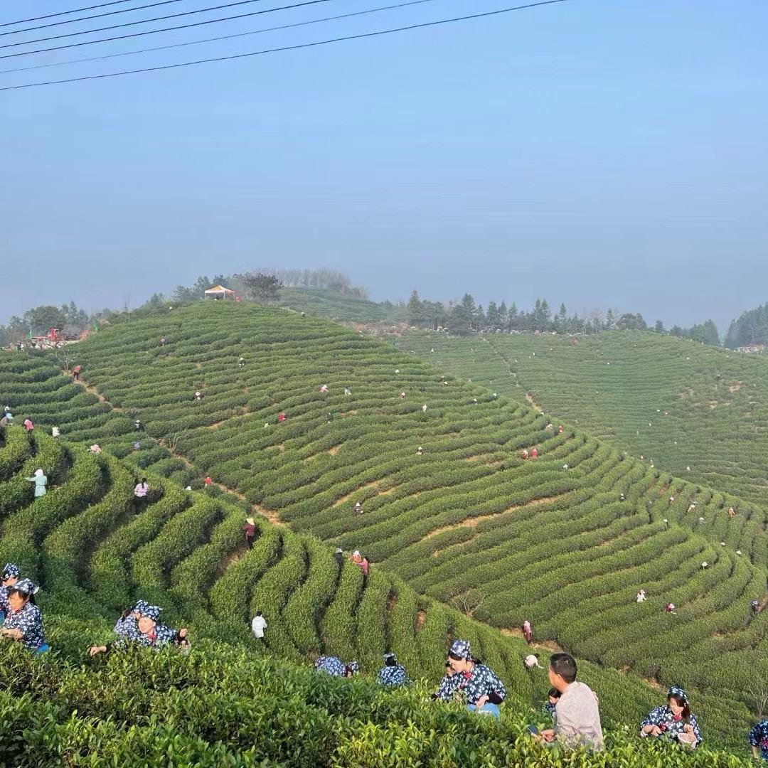 春峰