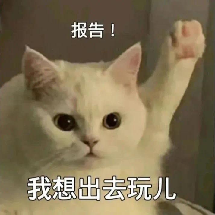 不爱喝椰汁🥥