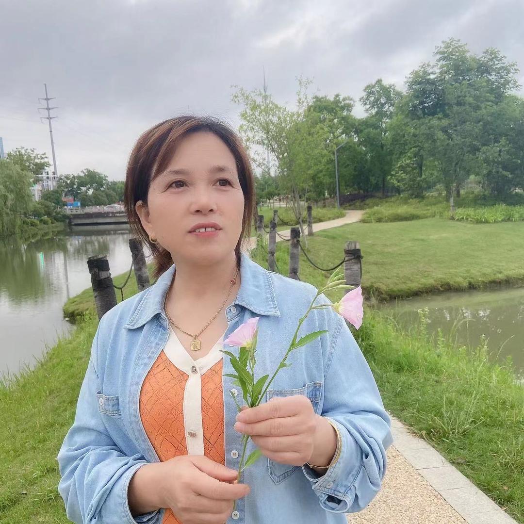 太阳花