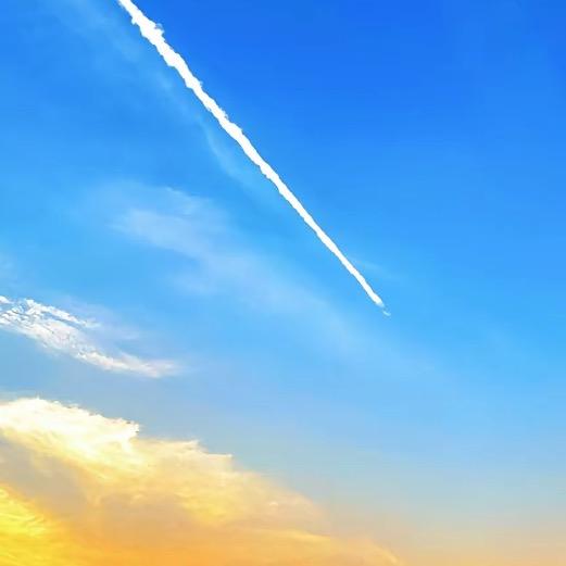 陳，