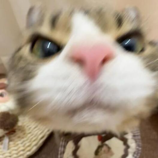 略略