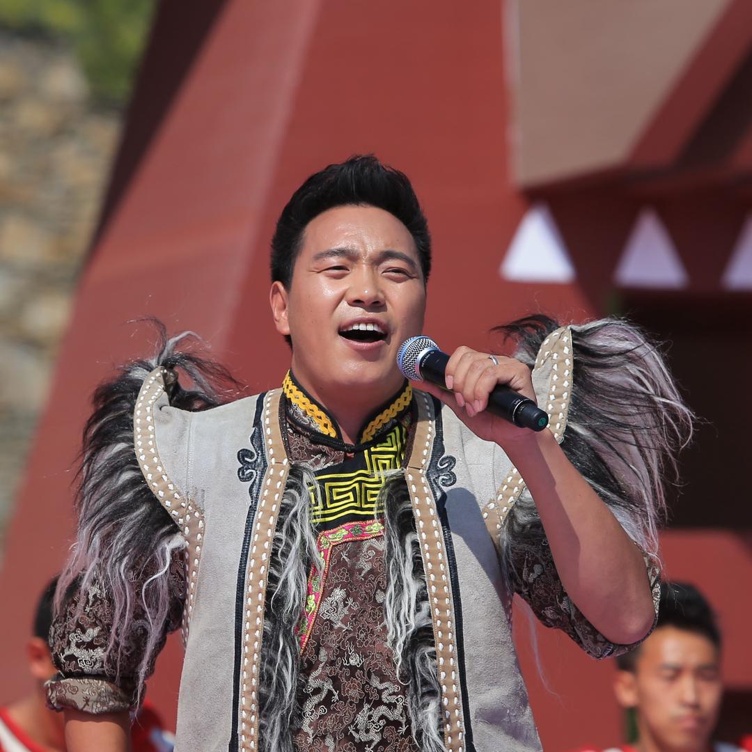 尔玛豪鹰