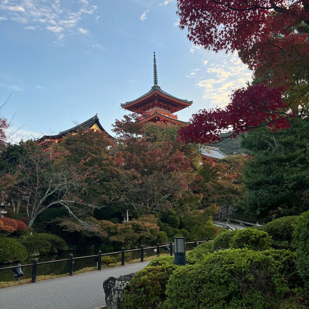 假名不能睡了🥹🥹