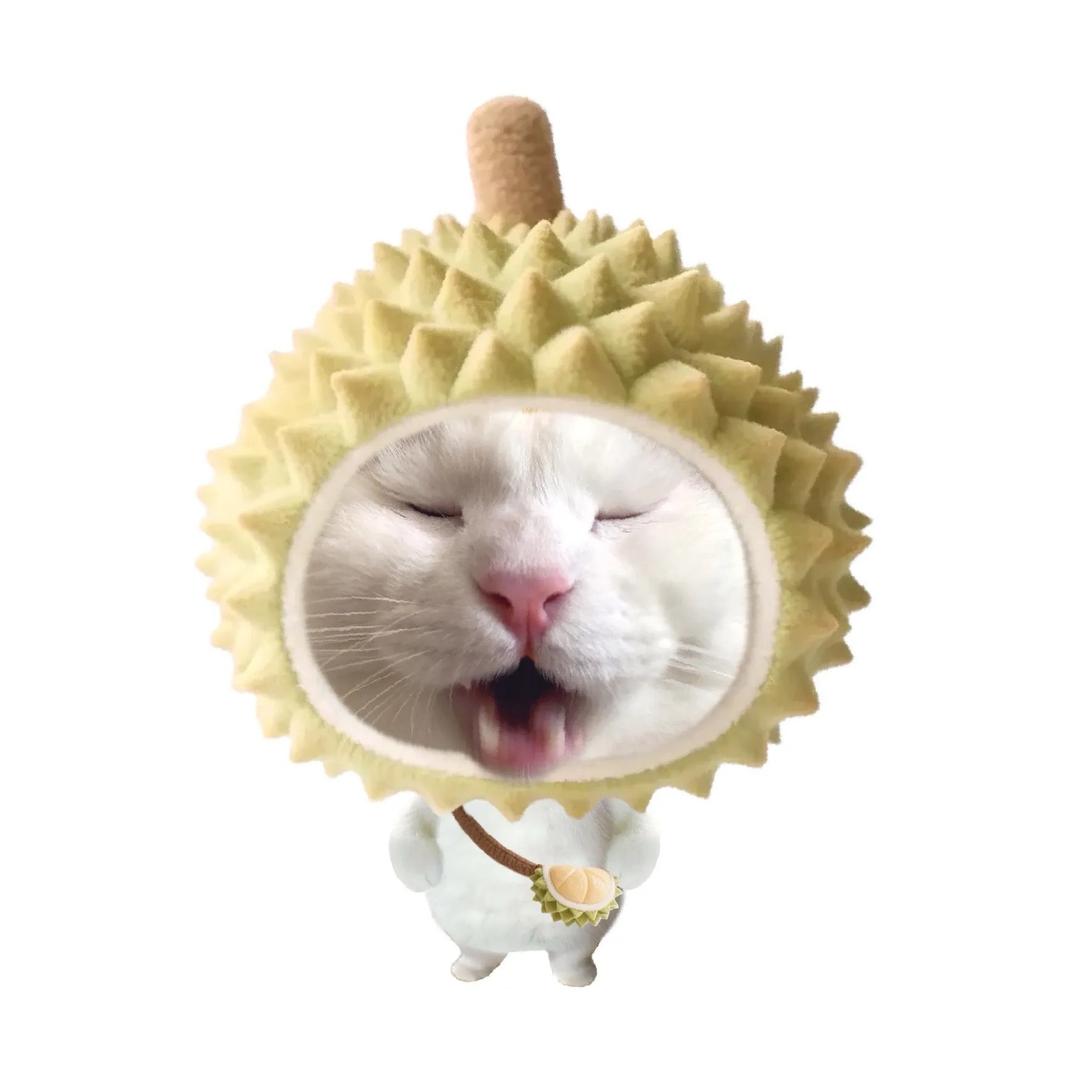 扶老奶奶闯红灯