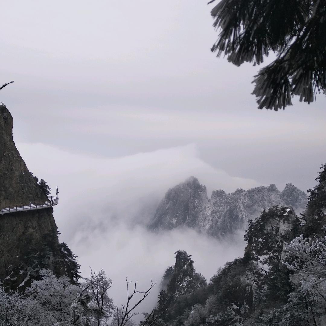 默默守护宣言