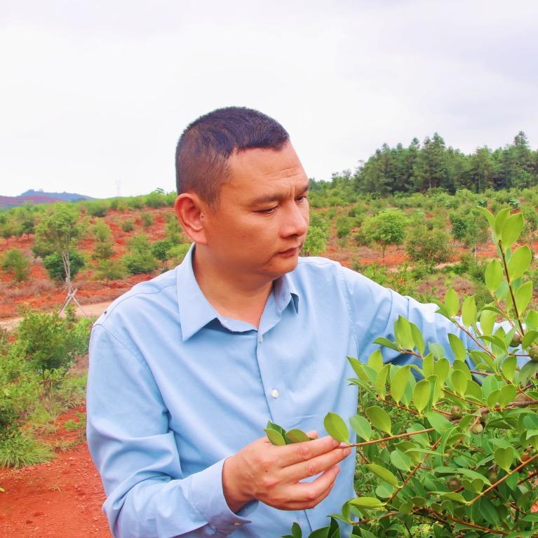 攸爱山茶油龙哥