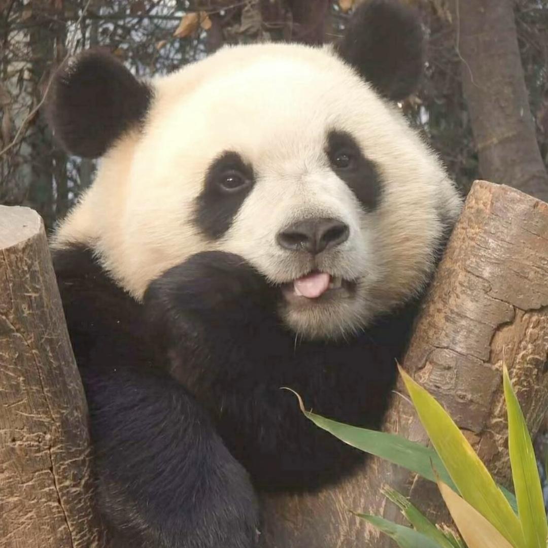 夏天