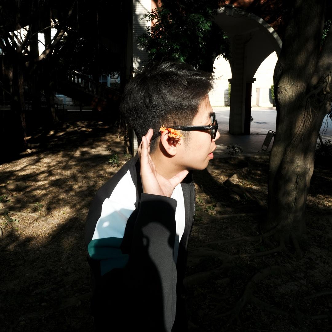 就是章鱼