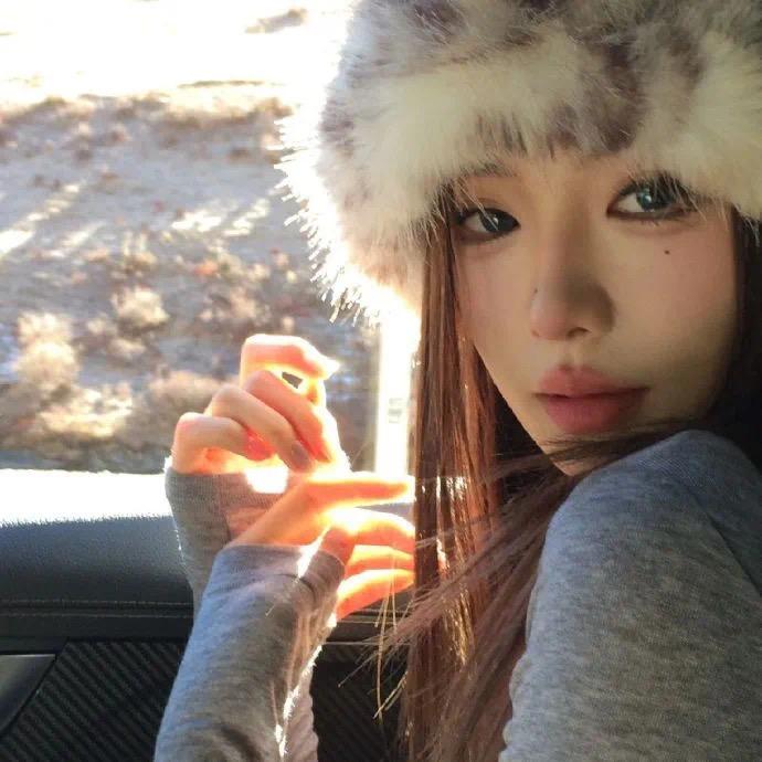 月半大锦鲤い