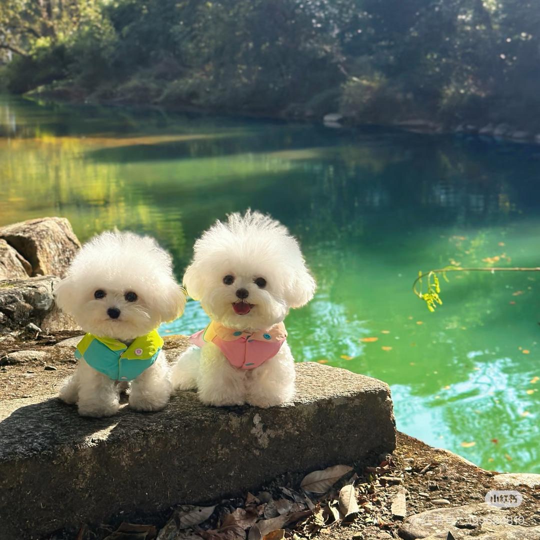 年小糕
