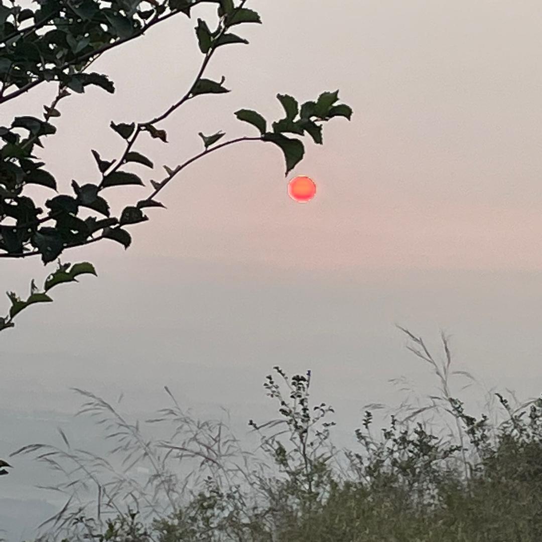 为道日损