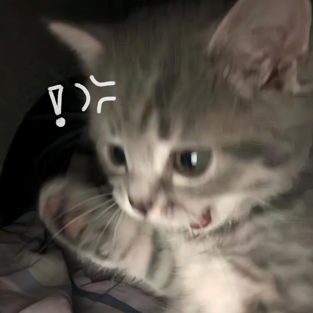 SiuCuteBB🍼