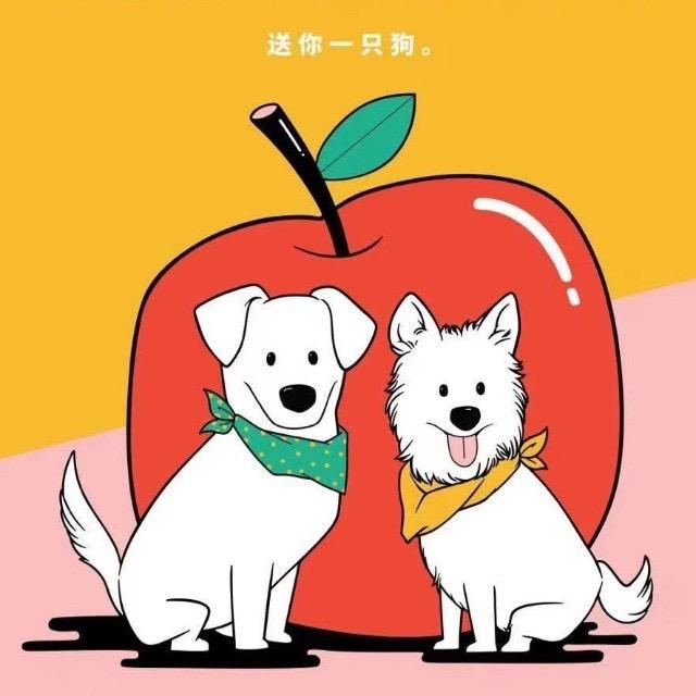 送你一只狗Best Match
