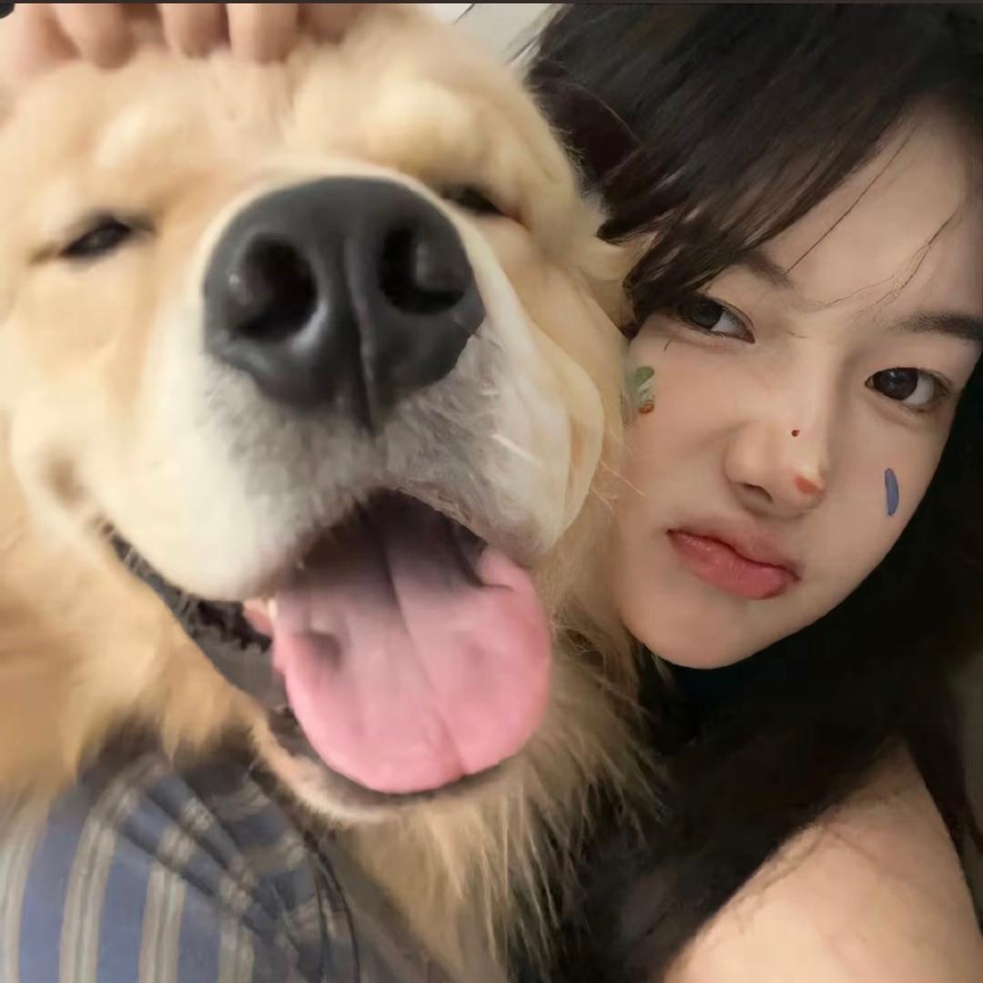 暴躁版YY🌸