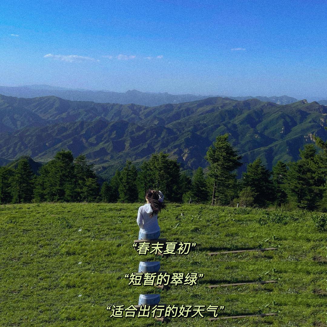 五月的日常