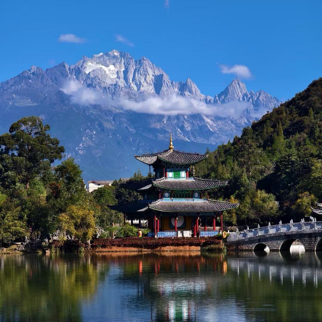 山楂罐头