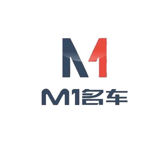 台州M1二手车