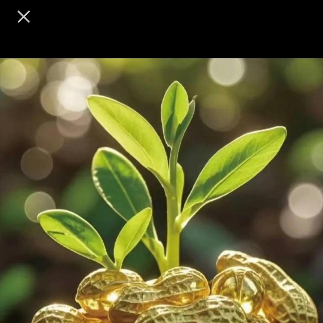 🐯敏姐爱生活