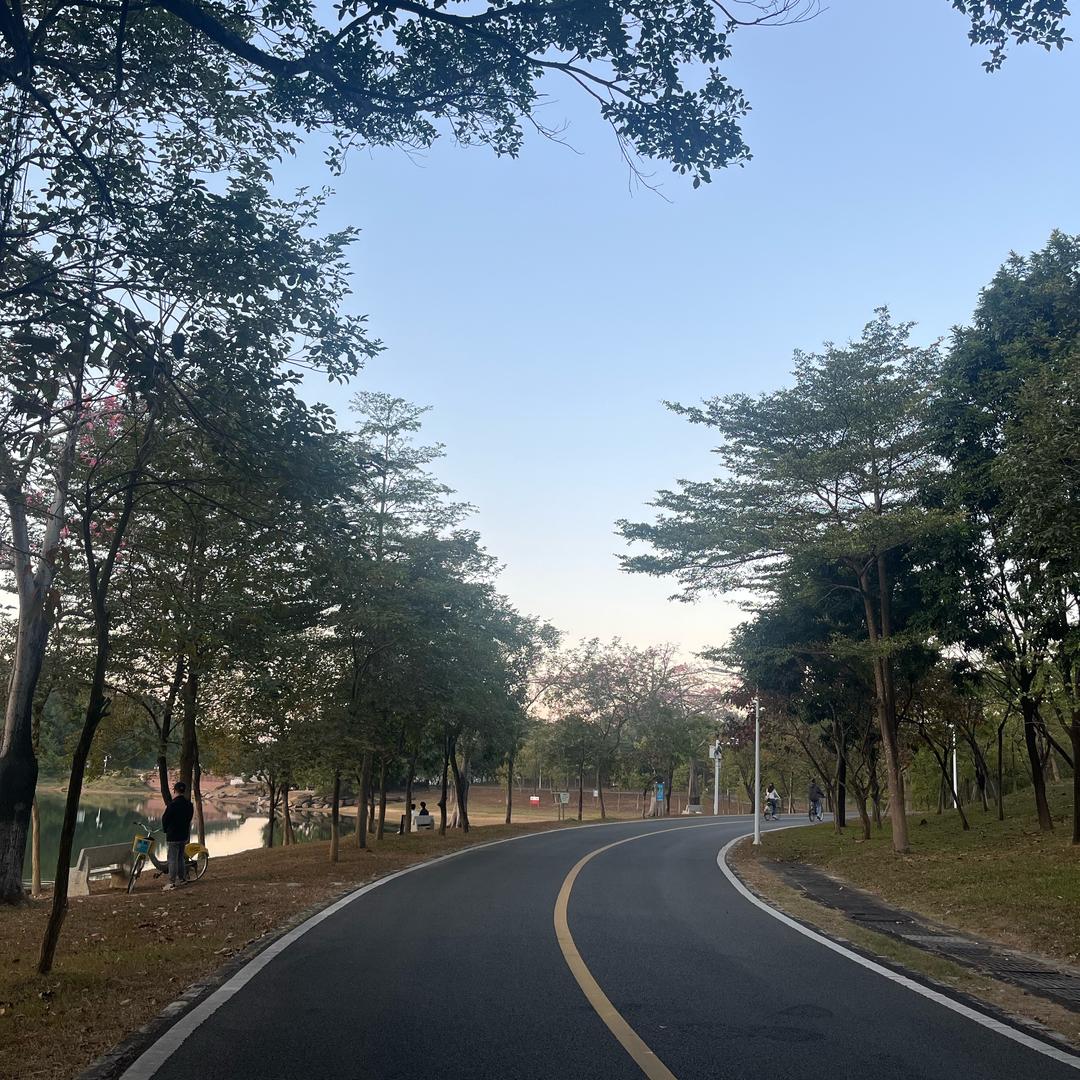 珊珊来迟