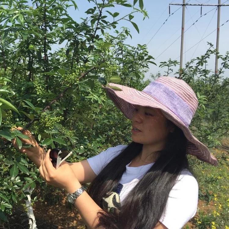向爱华