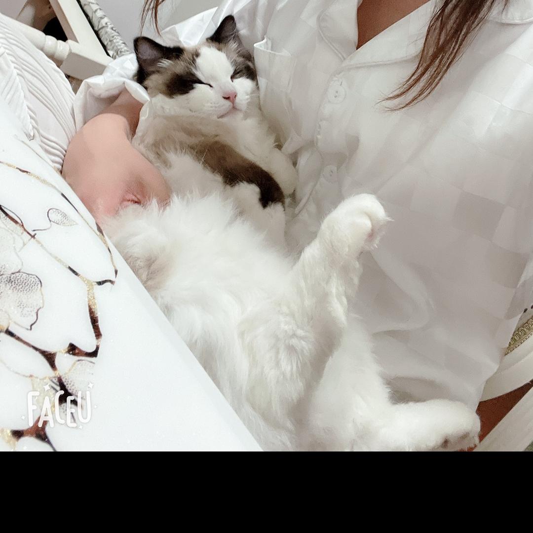 财神爷的老宝贝……