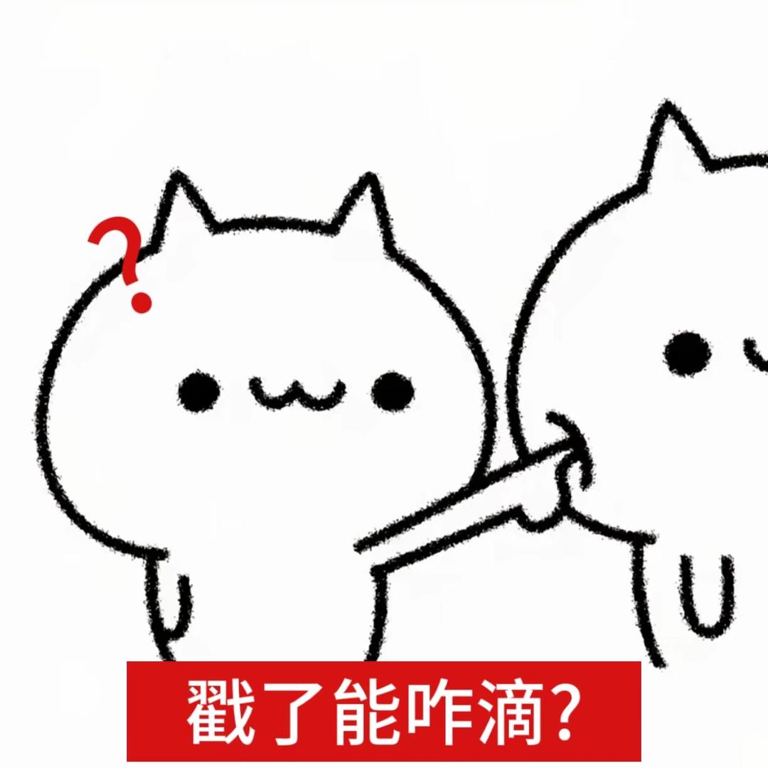 小Y.