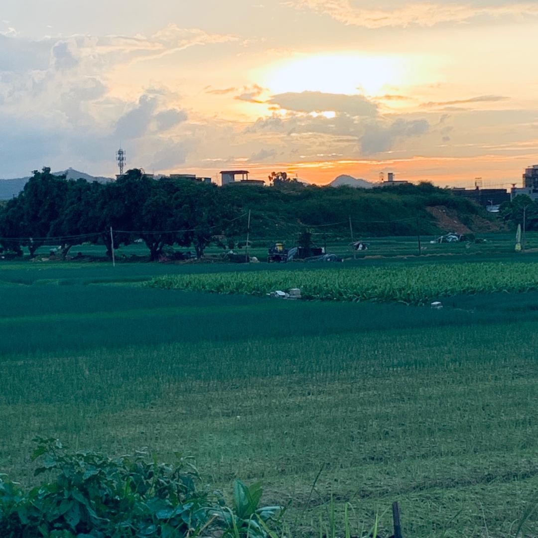 深井大屠夫