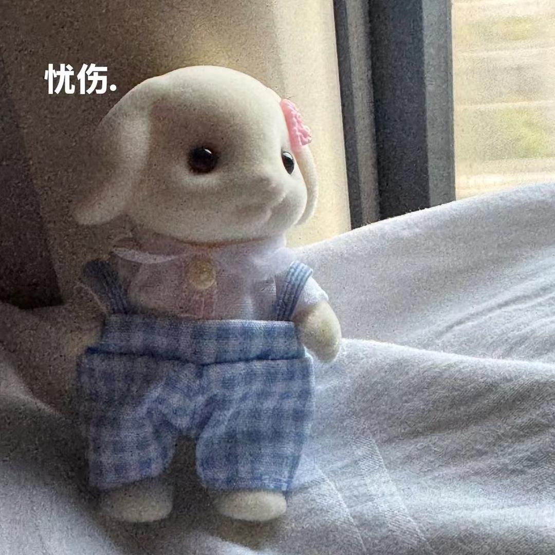 粉珍兔🐰