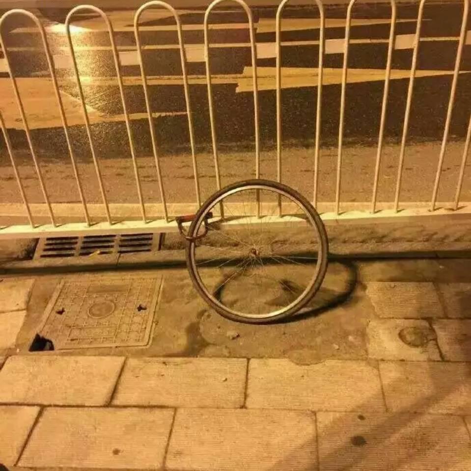 胡图图