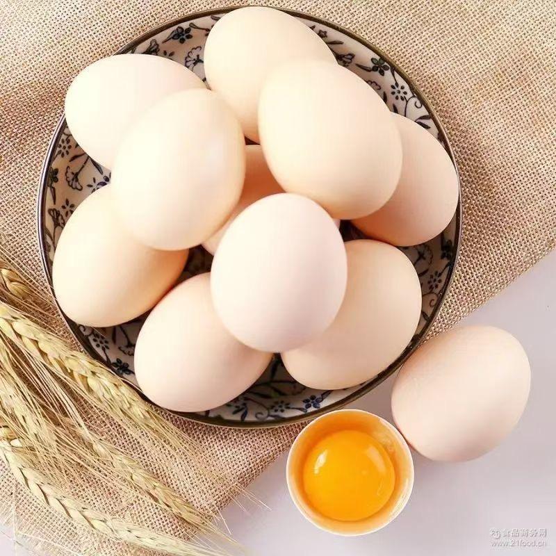 鲜鸡蛋小铺