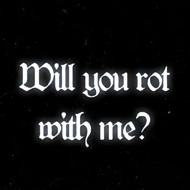 缓慢坍缩的猫🐈‍⬛