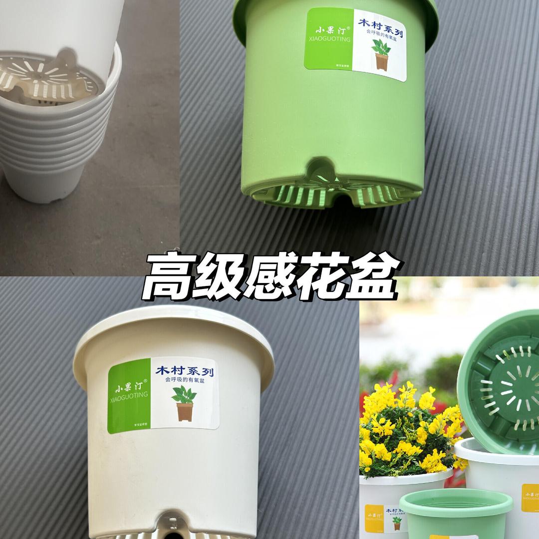春瑾序花卉小铺