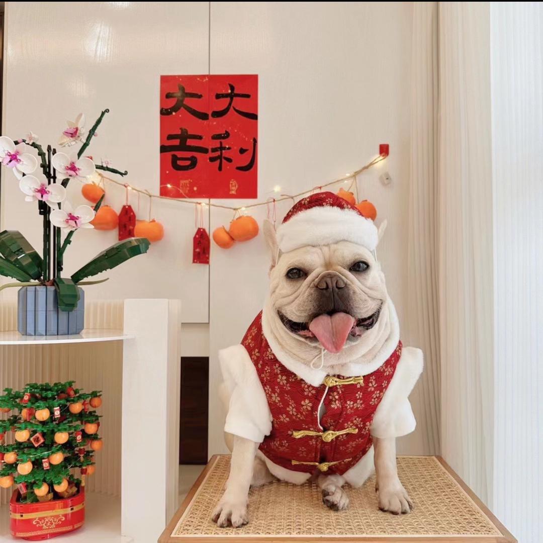 他叫蘑菇吧